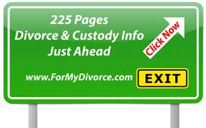 divorce and custody lawyers