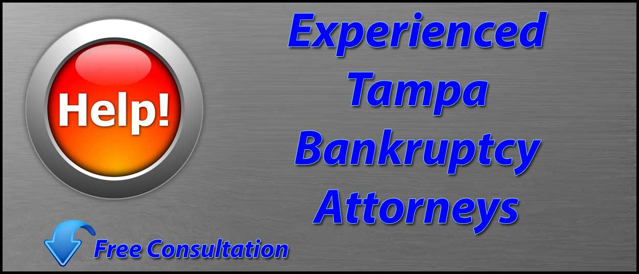 bankruptcy attorney tampa fl